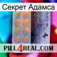 Секрет Адамса 44